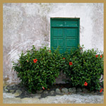 Shut window with Hibiscus Flowers
